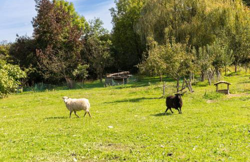Gîte Le Bouton D'or 8min Puy du Fou - Foto 18