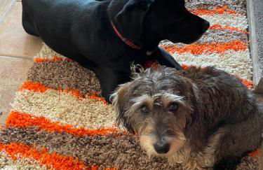 Hideaway@no3 - Foto 28