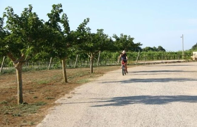 Tenuta Vigna Corallo - Foto 48