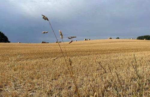 The Garden House - Photo 30