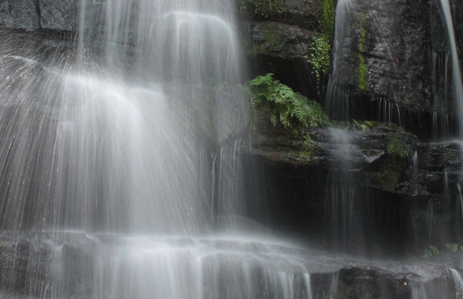 Ybycui National Park + La Rosada Museum Tour - Foto 7