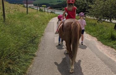 Fewo Schwarzwälder Blattert - Photo 8