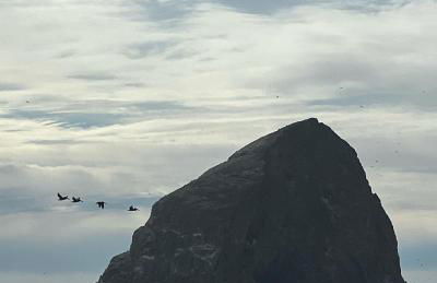 Rudders Rest - Foto 27