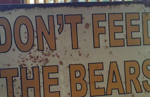 Little Bear Tiny Cabin - Foto 12