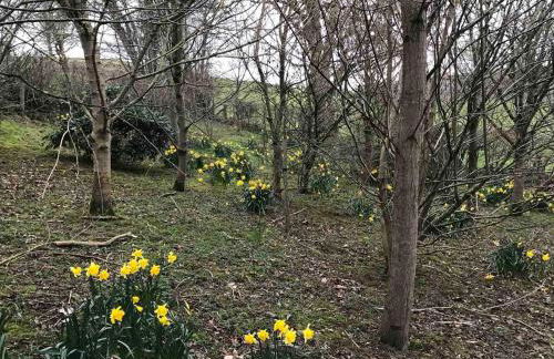 Converted Stone Barn -20 Acres - Farm Animals! - Photo 54