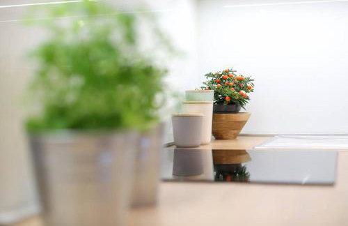 Nusha's place - Foto 14