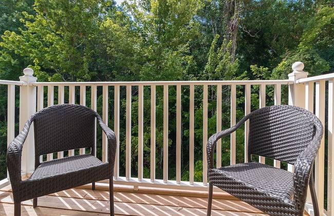 Tropical Lux - Foto 14