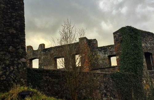 Ferienwohnungen Eifelstuben mit Charme - am See, nahe Burg - Photo 26