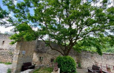 Casa d'amunt - Foto 31