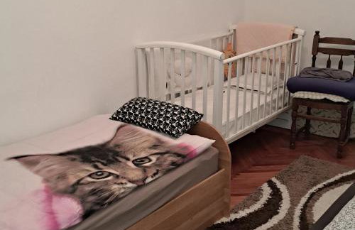 Holiday home "Goga" ruralna kuća - Foto 9