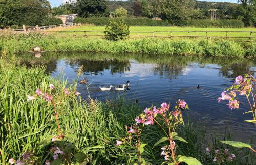 THE HAYLOFT CHESHIRE - Photo 25