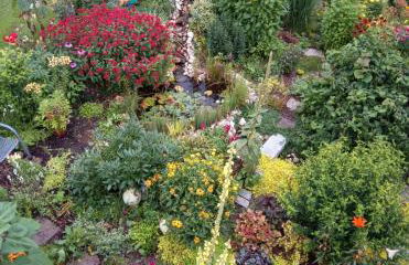 Ferienwohnung Adebar - Foto 13