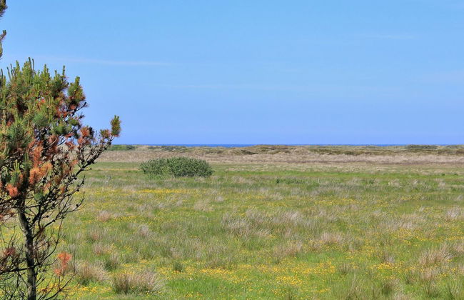 "Annick" - 300m from the sea - Foto 4