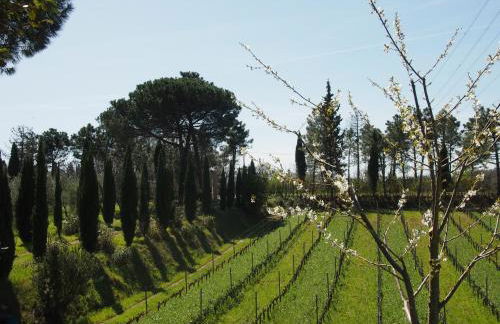 Agriturismo Gli Archi - Foto 51