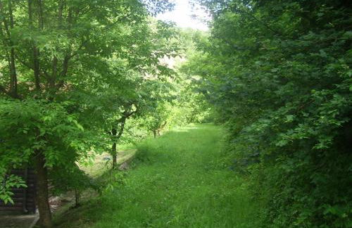 Agriturismo Mulino di Culmolle - Foto 31