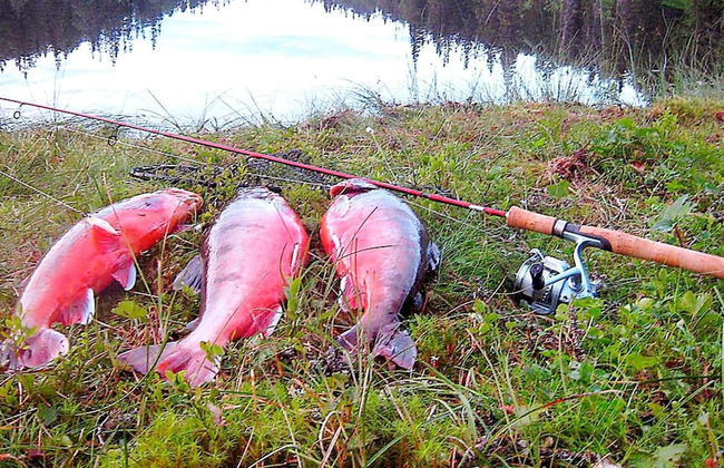 6 Person Holiday Home in Nordli-by Traum - Foto 7