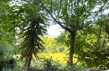 Springfield Lodge - Foto 20