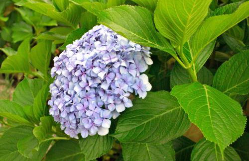 Apartadiño - Foto 21