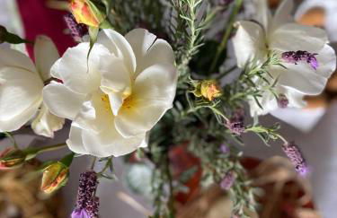 Casa dos Avós - Foto 34