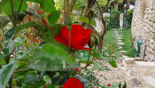 Il Giardino di Gio' - Foto 5, Garden