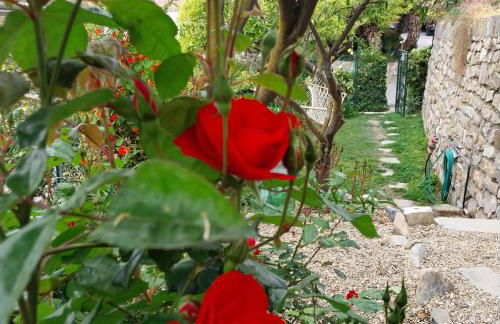 Il Giardino di Gio' - Foto 5