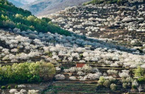 Apartamento rural Sé de un lugar - Foto 69