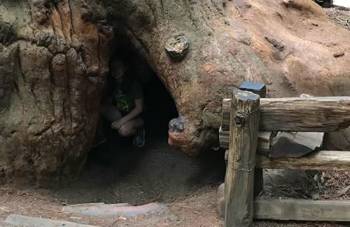 Redwood Nook - 8 min walk to redwood state park - Foto 23