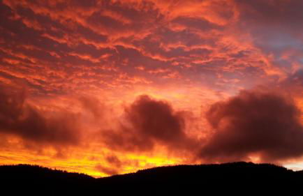 Haus Schäfer - Foto 26