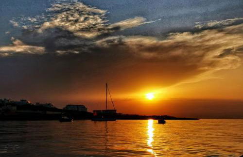 CASA DIVINO - Foto 16