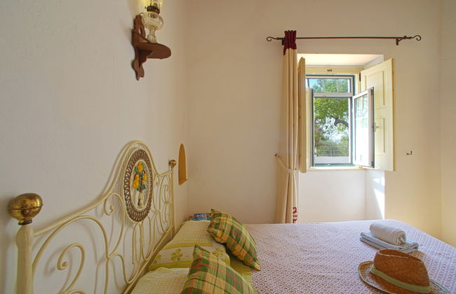 Monte da Calma - Foto 37