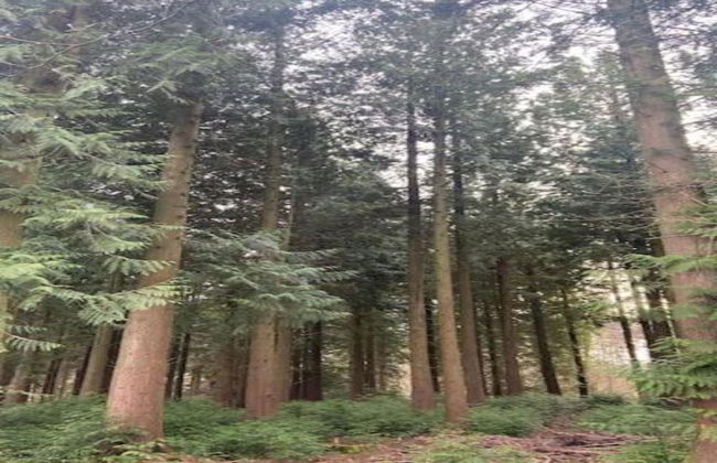 Chalet in Belgium With Stunning Views - Foto 35