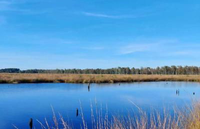 Cozy Home in der Heide, zentral und ruhig - Foto 51
