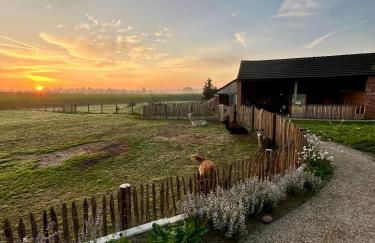 Tiny House Alpakablick - inklusive Alpaka Meet & Greet an bestimmten Terminen - Foto 21