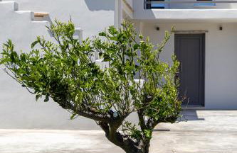 Kappa Home tinos - Foto 26