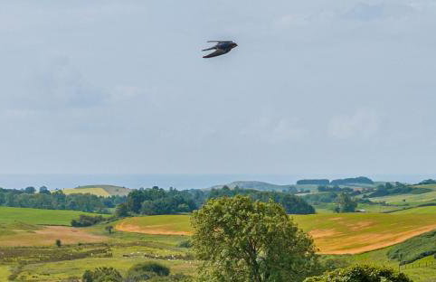 The Steading at Castle Creavie Farm - Foto 31