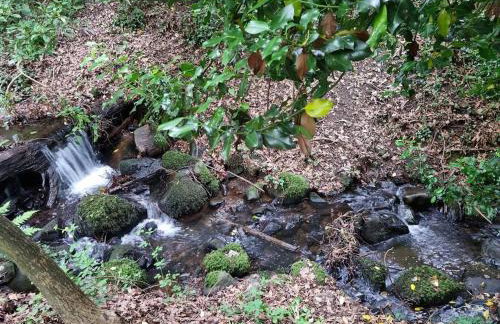 Seaview cottage North Wales - Foto 24