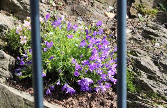 Logierhaus Stadt Lyon - Foto 51