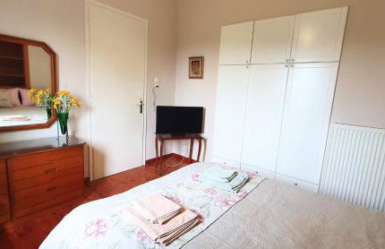 Best House, Green Home, Elaiofyto Village, Agrinio, Aitoloakarnania - Foto 4