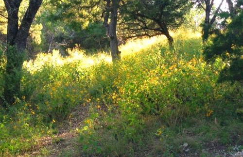 The Firehouse at Creekside Camp & Cabins - Foto 15