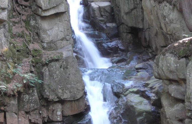 Villa Maria Comfortable Holiday Residence - Photo 37