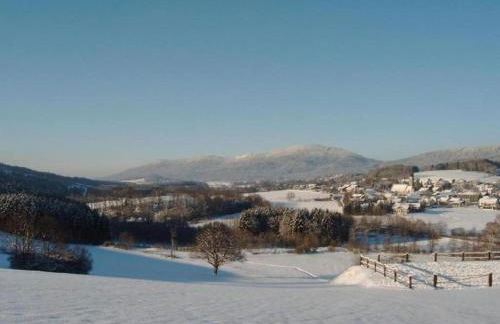 Geraeumige Wohnung fur 5 Personen in Drachselsried - Foto 52