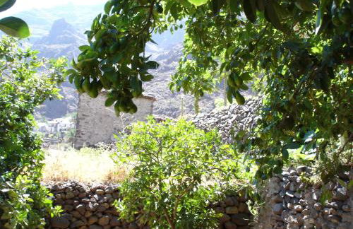 Goyo Gomera Apartments - Foto 66