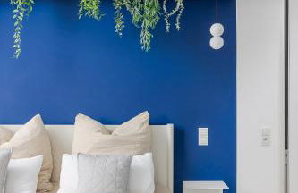 Im Herzen der Pfalz - Urlaub in der Rebenkoje - Foto 1