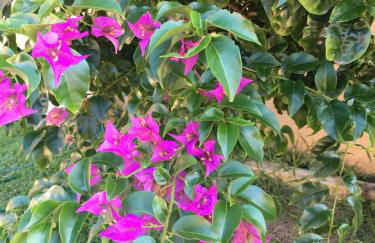 Casa Aconchegante Brisa do Mar - Praia do Foguete - Cabo Frio - Foto 11