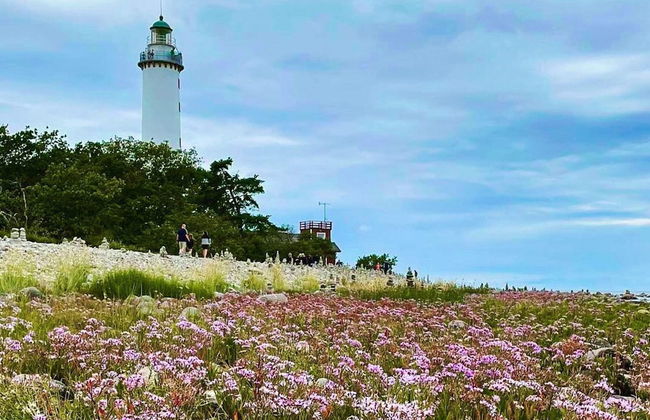 4 Person Holiday Home in Lottorp - Foto 9