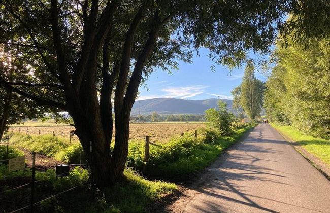 Summit Happiness at the Purple Beech - Foto 29