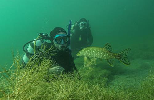 ALL-on-SEA Camp & Sport Resort Leipzig am Schladitzer See - Foto 56