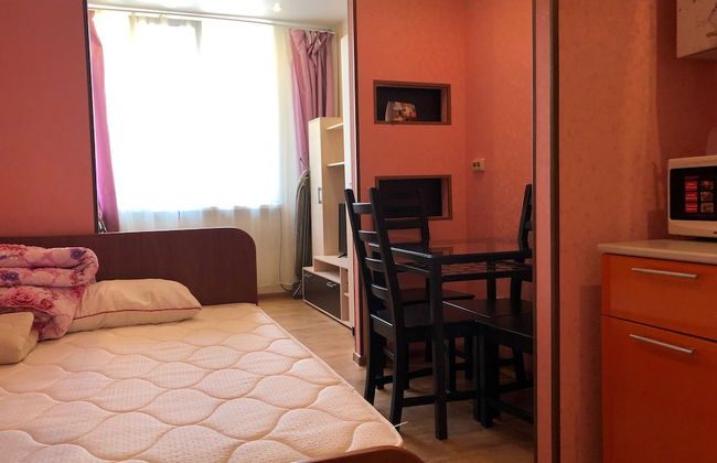 Apartment on Lysaya Gora 36-2a Green Area 3 - Foto 1