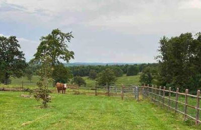 The Varnadoe Villa- Farm Stay - Foto 37