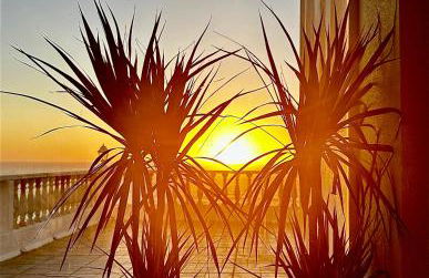 Casal Santa Virginia - Foto 8